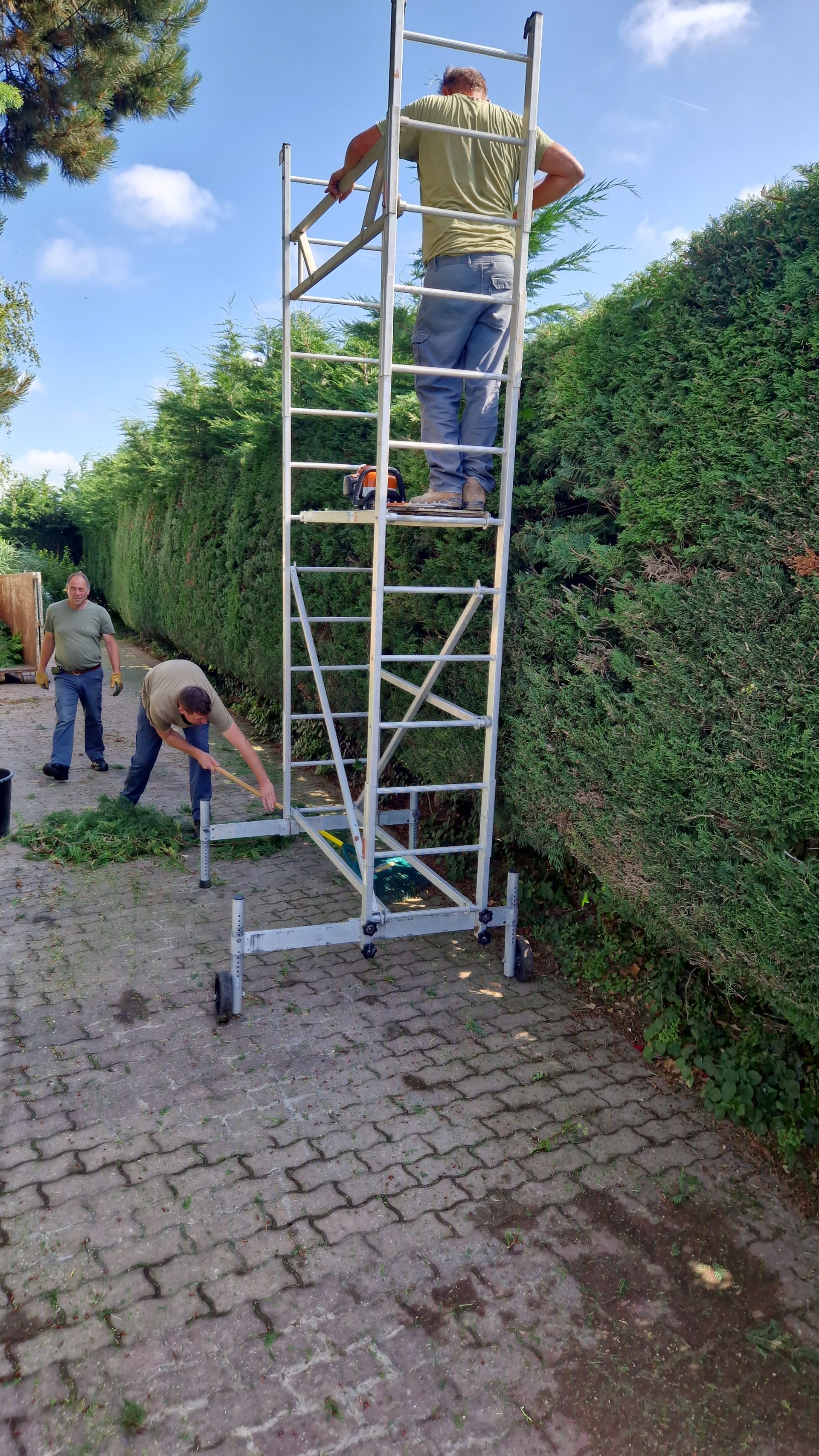 Trois personnes taillent une haute haie à l'aide d'un échafaudage. Un homme est en haut, deux sont au sol.