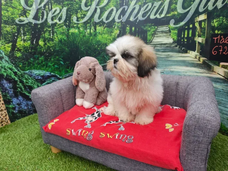 Un adorable chiot à côté d'un lapin en peluche sur un canapé gris recouvert d'une couverture rouge, dans un décor sur le thème du jardin.