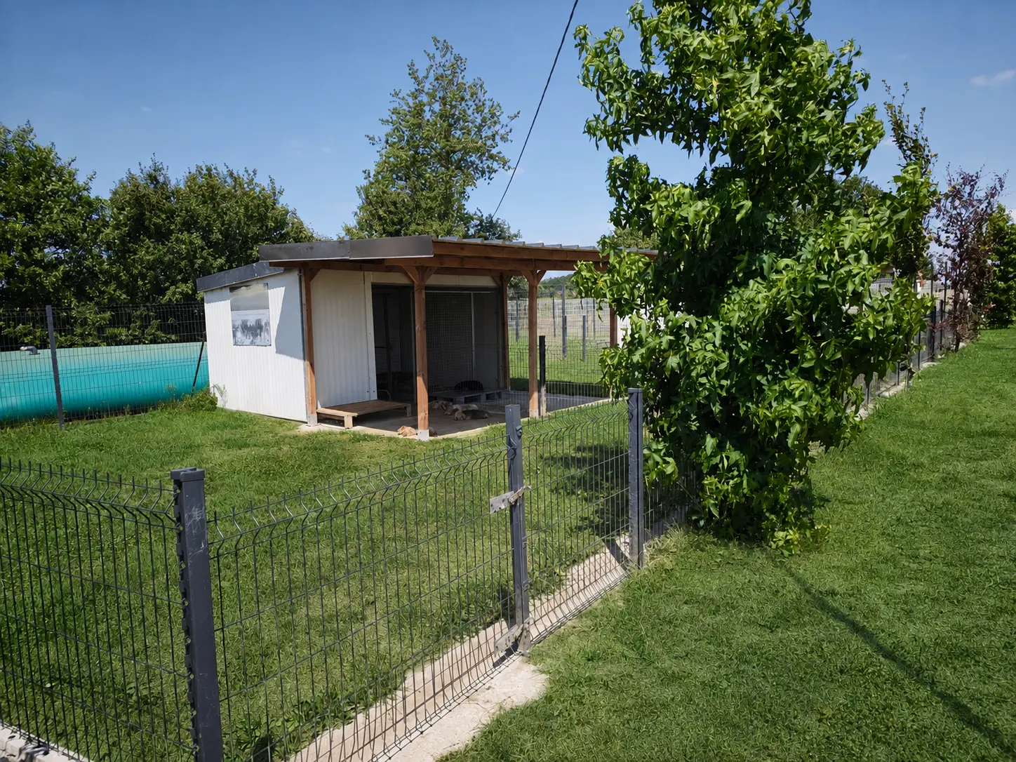 Un box pour chien avec un jardin.