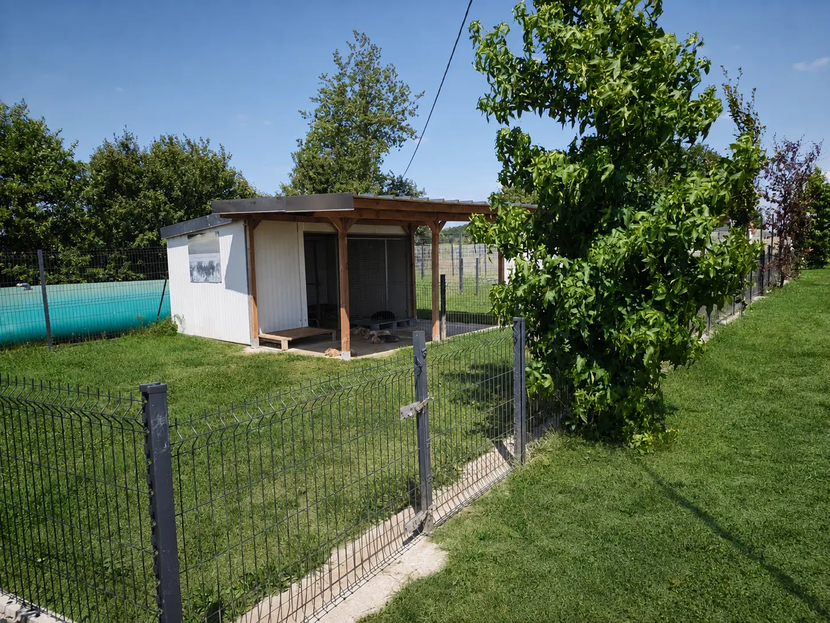 Une cabane pour chien dans un enclos verdoyant.