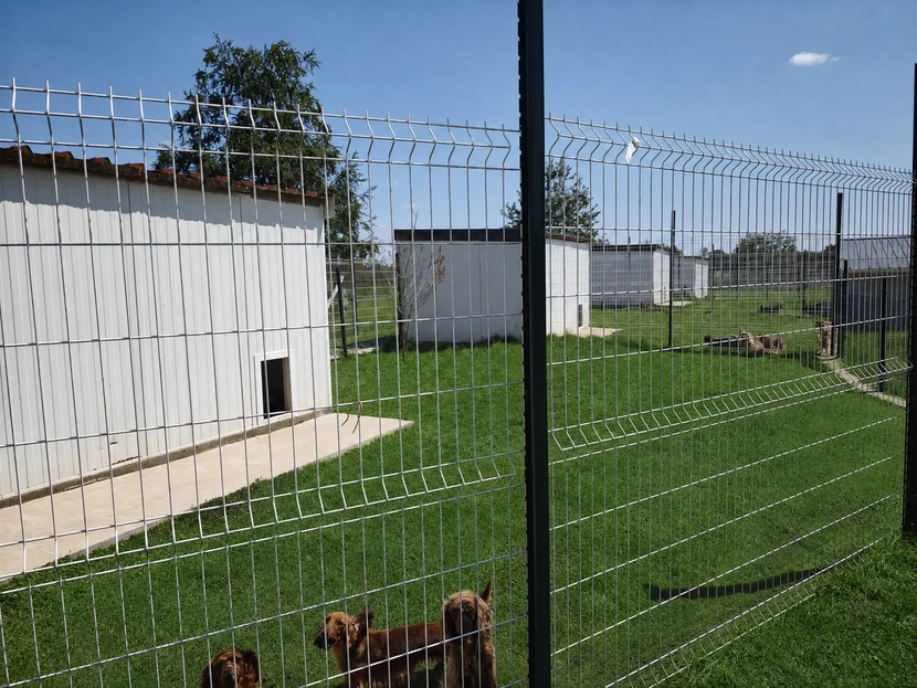 Un enclos de la pension avec les box des animaux.