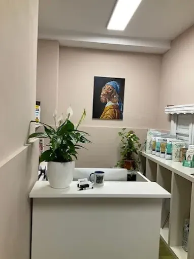 Pequeña oficina con escritorio blanco, plantas en macetas, estantes con suministros y un retrato en la pared del fondo.