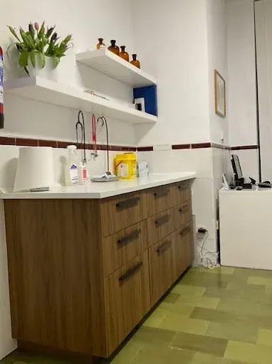 Pequeña cocina americana con armarios de madera, estantes blancos, fregadero