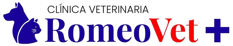 Logotipo negro “beedigital” sobre fondo blanco
