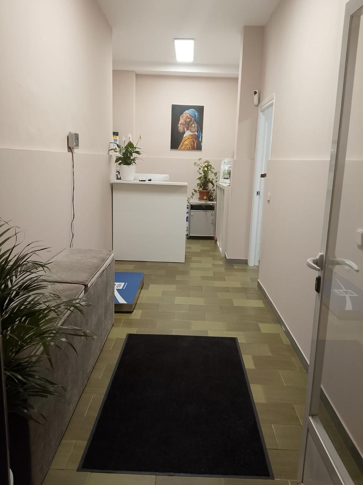 Pasillo estrecho con alfombra negra, mostrador de recepción blanco, plantas en macetas y un retrato enmarcado al final.