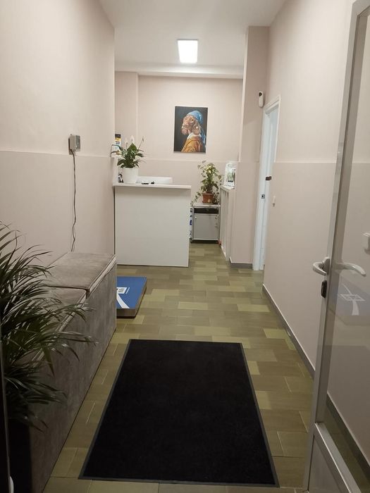 Icono de marcador de posición gris claro con un sol y montañas sobre fondo blanco