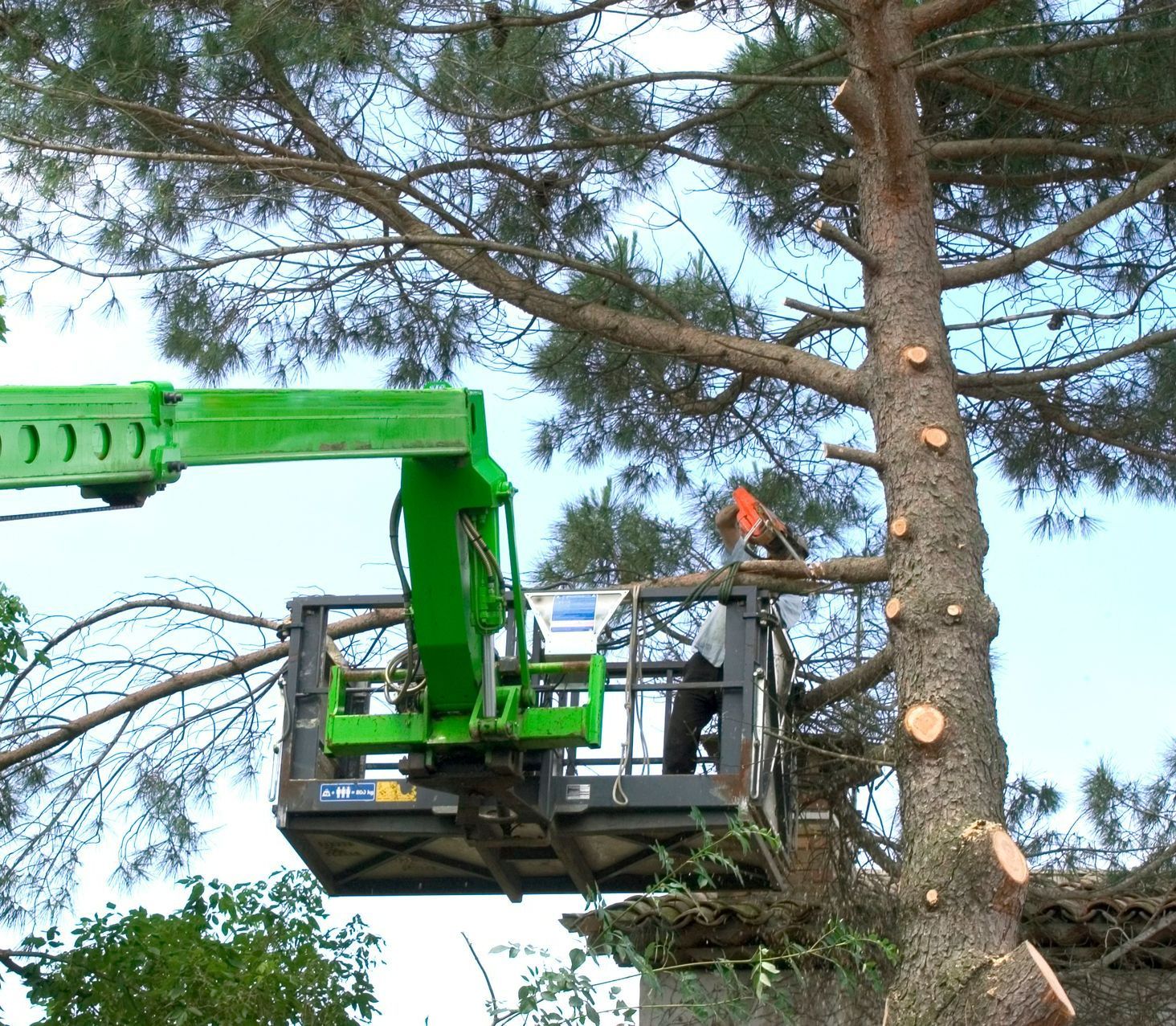 Élagueur sur une nacelle en train de tailler un arbre