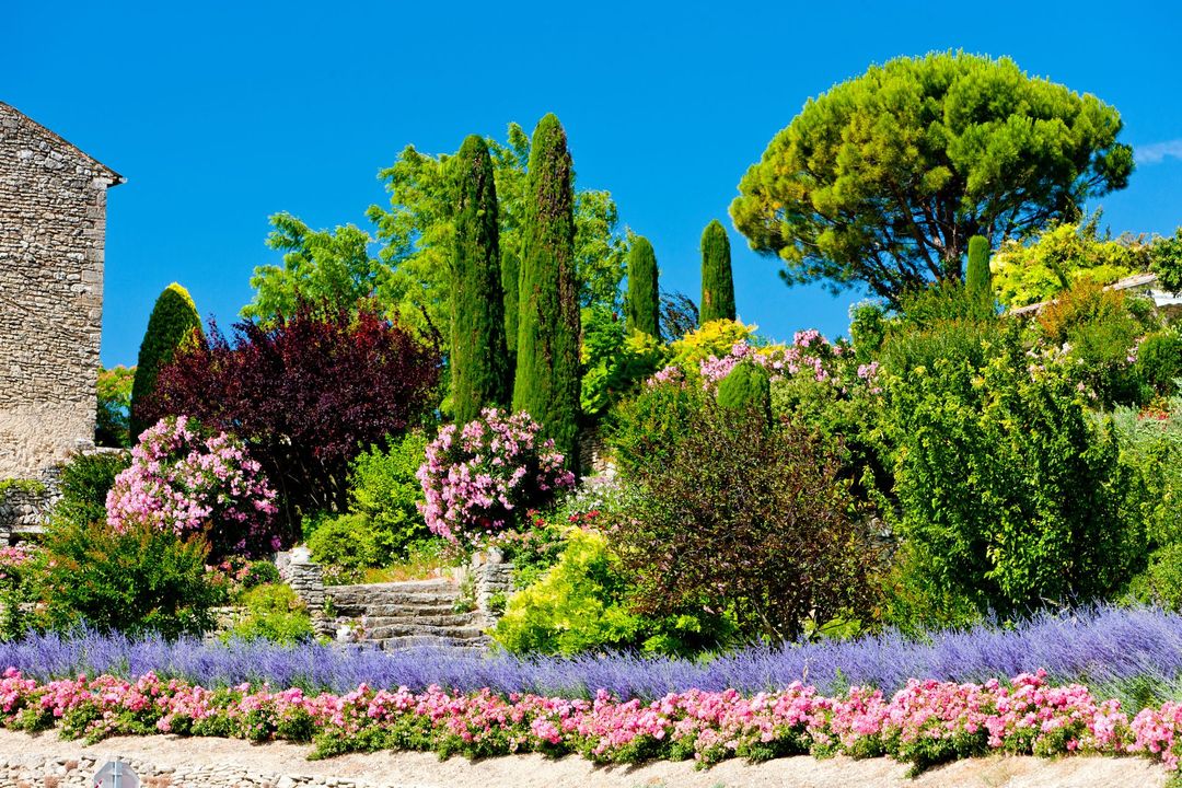 Jardin provençal avec escalier en pierre