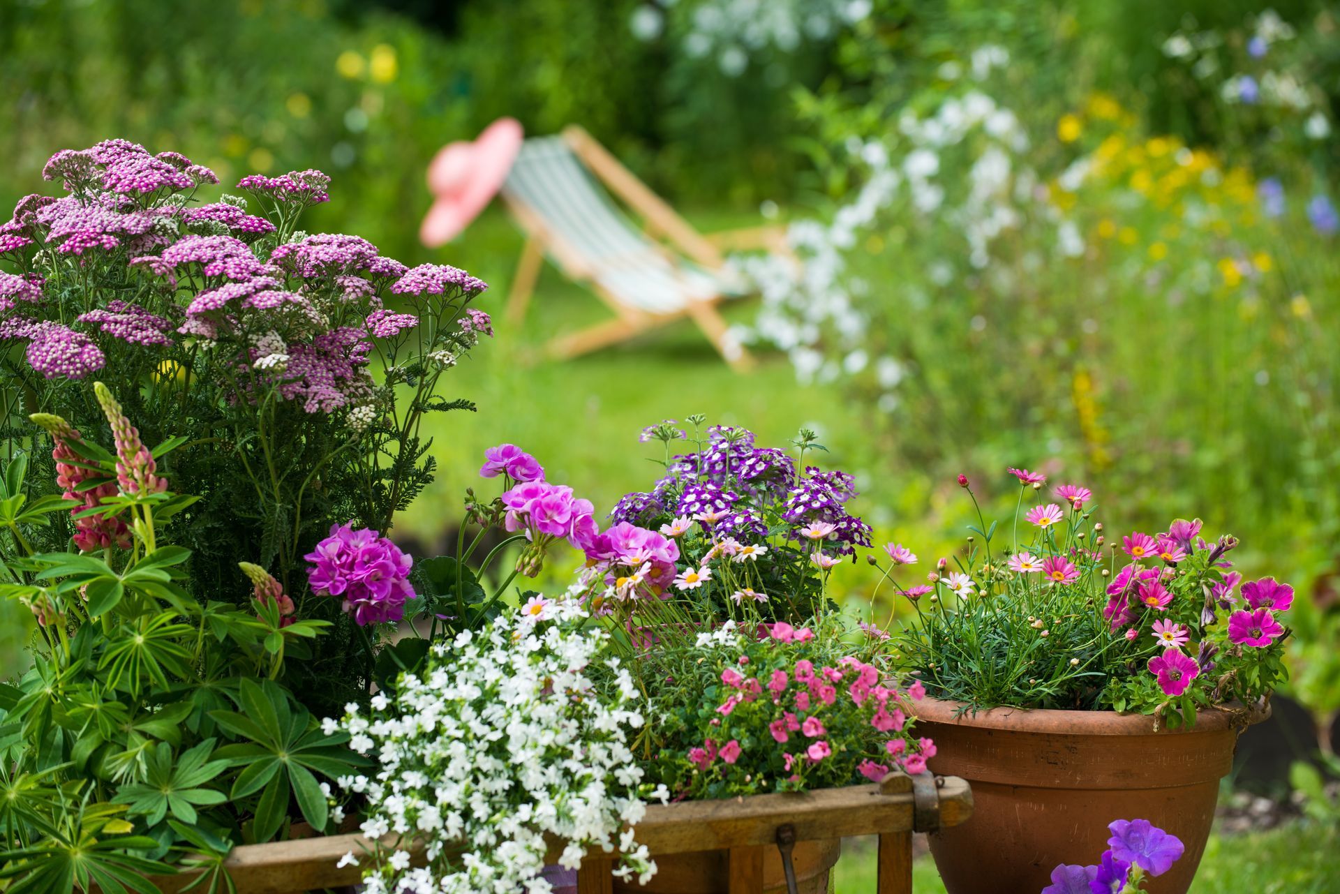 Jardin aménagé avec chaise longue en fond