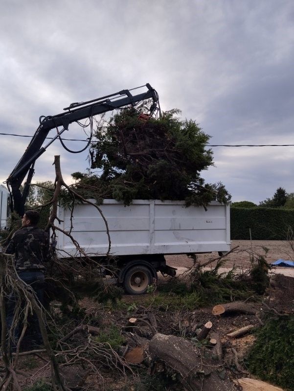 Benne remplie de branches