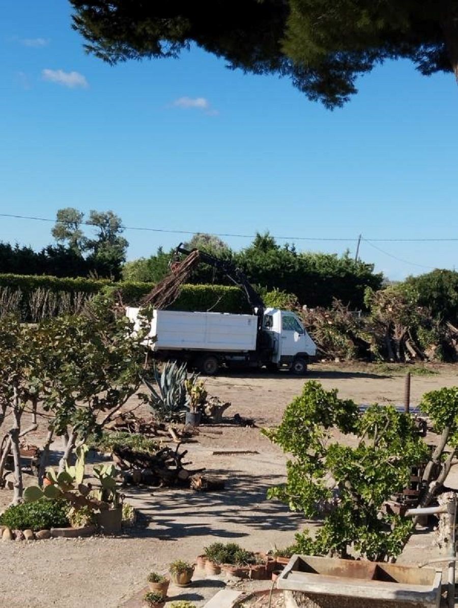 Camion récupérant des branches