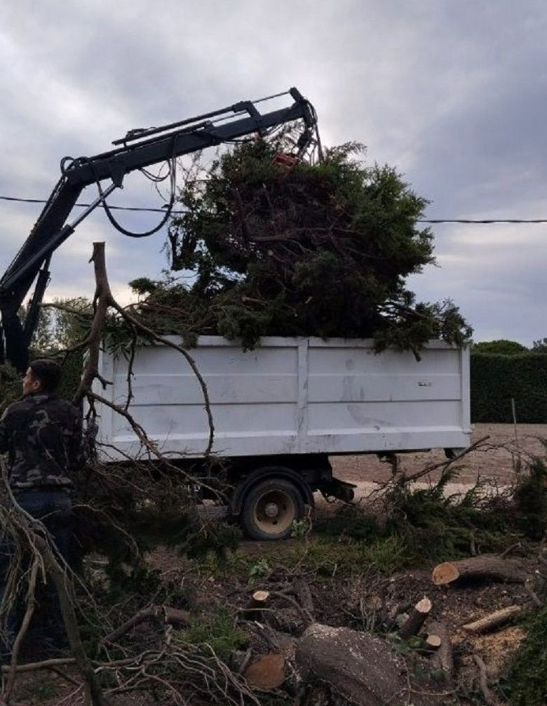 Déchets verts dans une benne