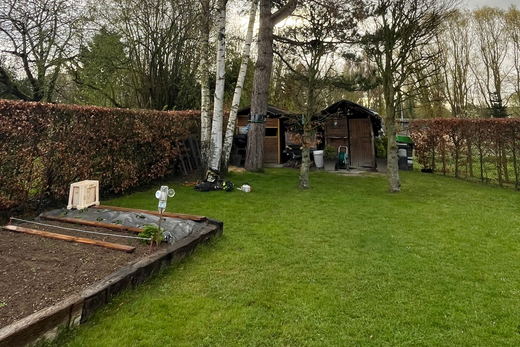 Cour arrière avec pelouse, potager surélevé, arbres, haie et petit abri.