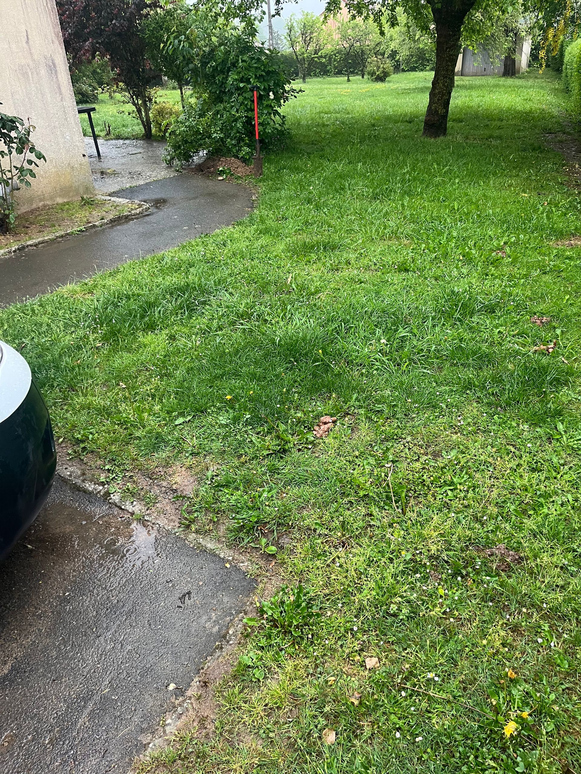 Allée mouillée bordant une pelouse verdoyante avec des arbres.
