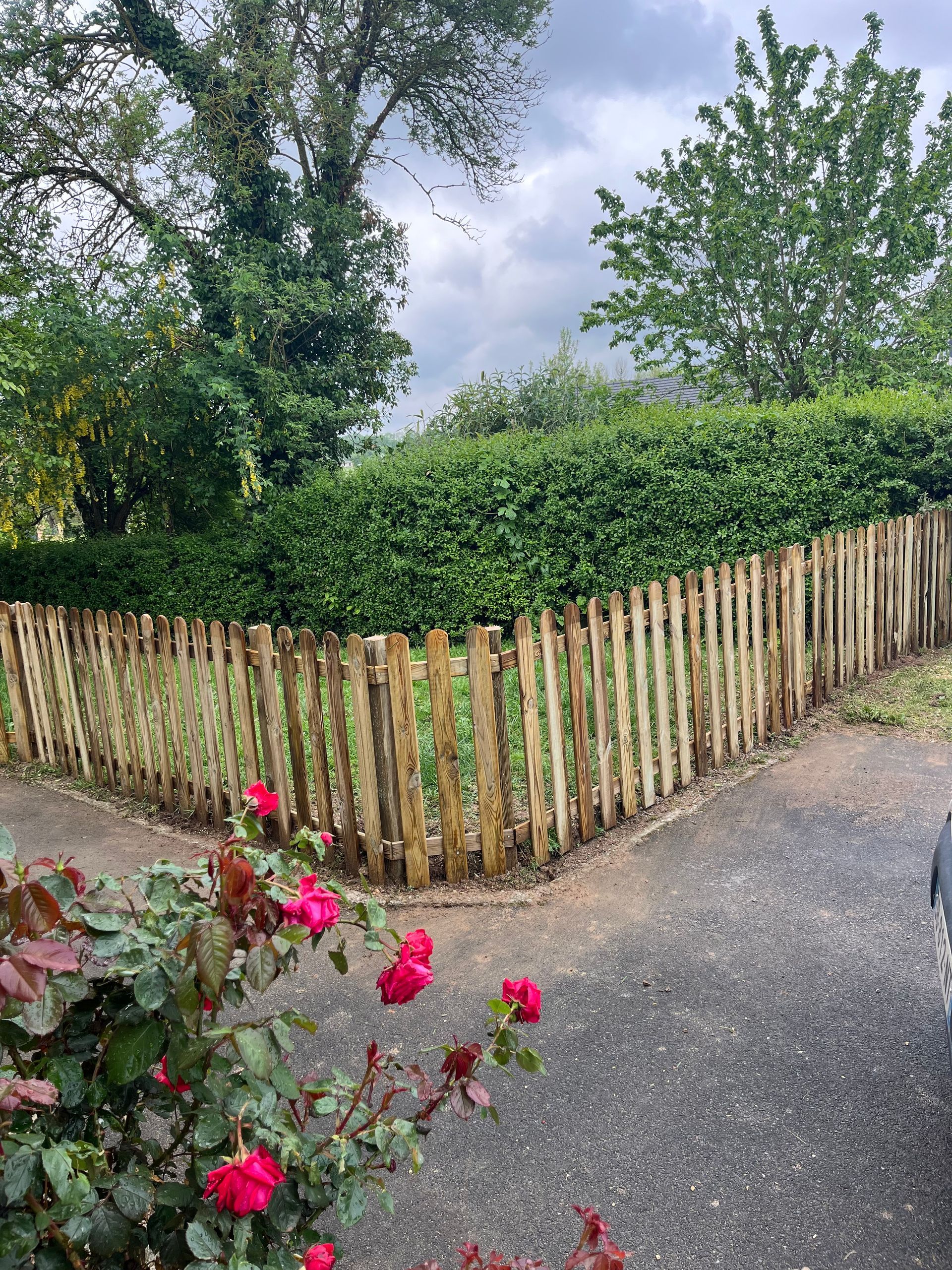 Allée de jardin longeant une clôture en bois, bordée de roses de couleur rose et de haies vertes denses.