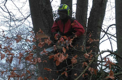 Une personne vêtue d'une veste rouge et d'un casque jaune taille des branches  d'arbre avec une tronçonneuse.