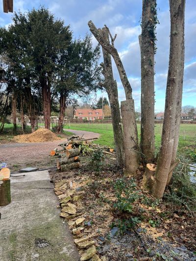 Allée d'un parc bordée d'arbres et d'un jardin paysager avec des fleurs orange et un bâtiment en briques au loin.
