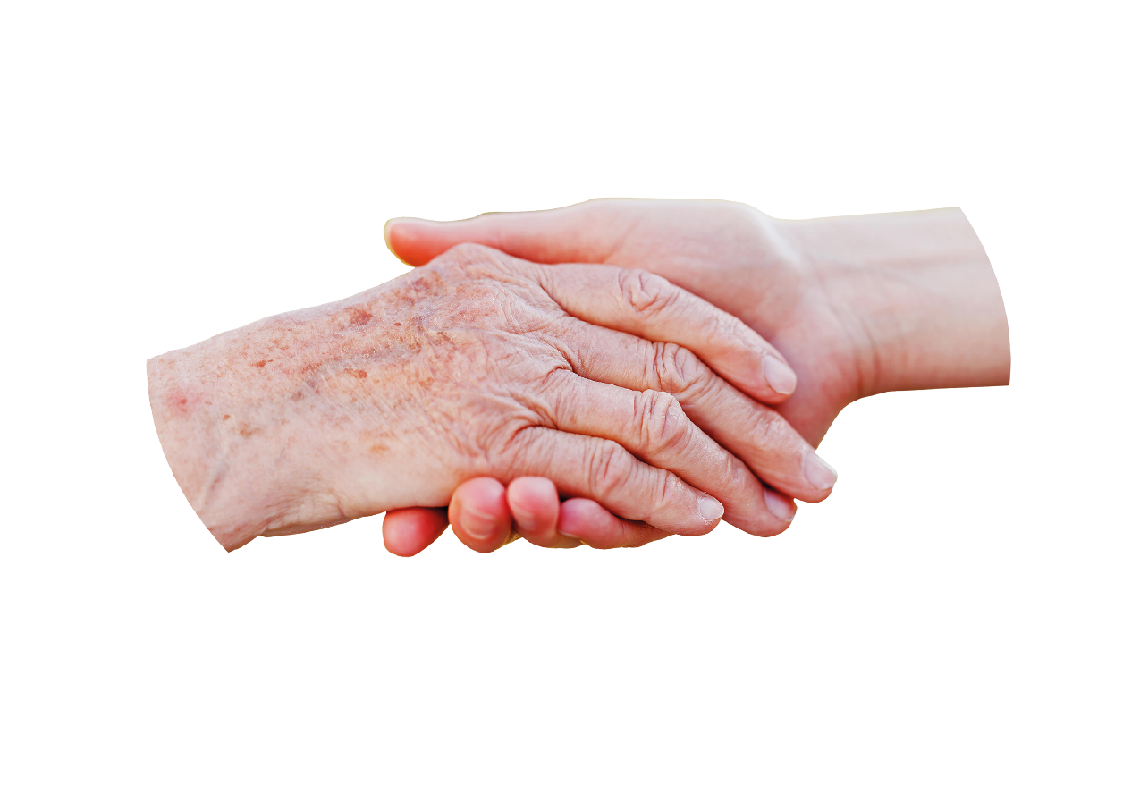 Händedruck: Eine junge Hand hält eine ältere, faltige Hand; Symbol für Fürsorge und Unterstützung.