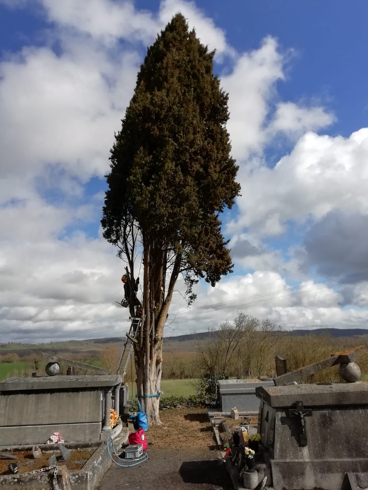 Début de l'abattage