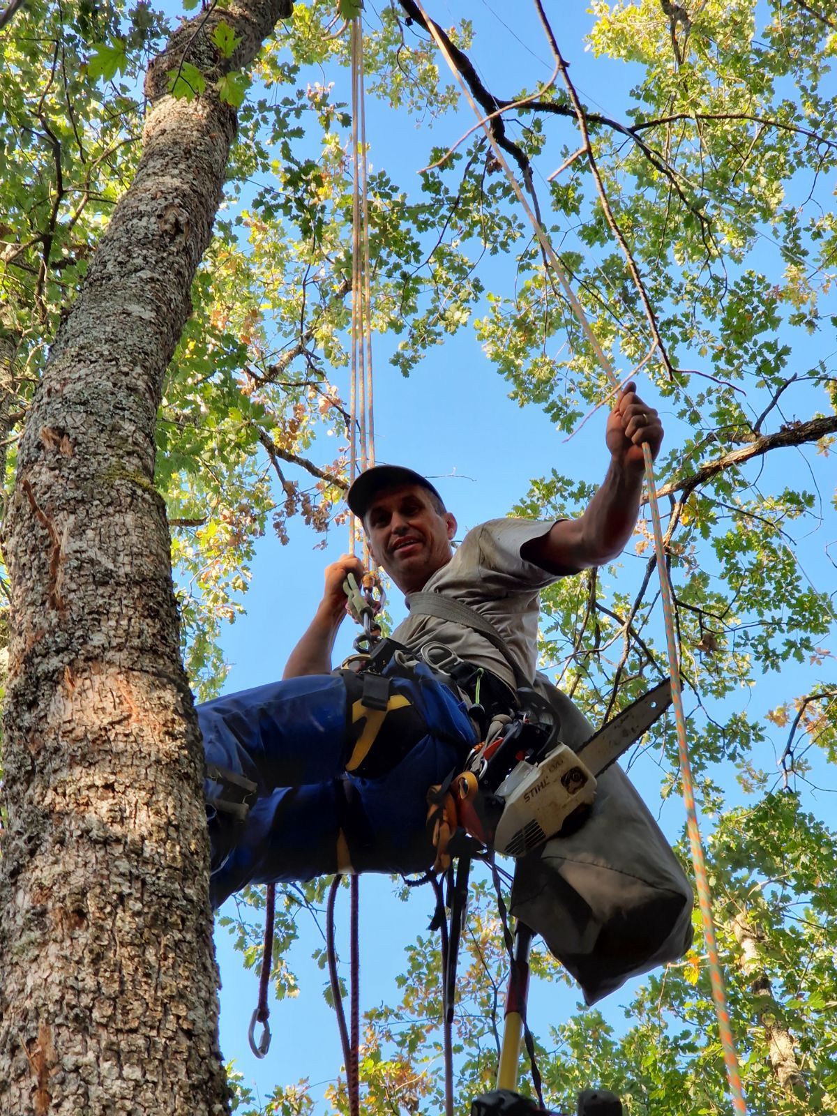 Élagage sur corde