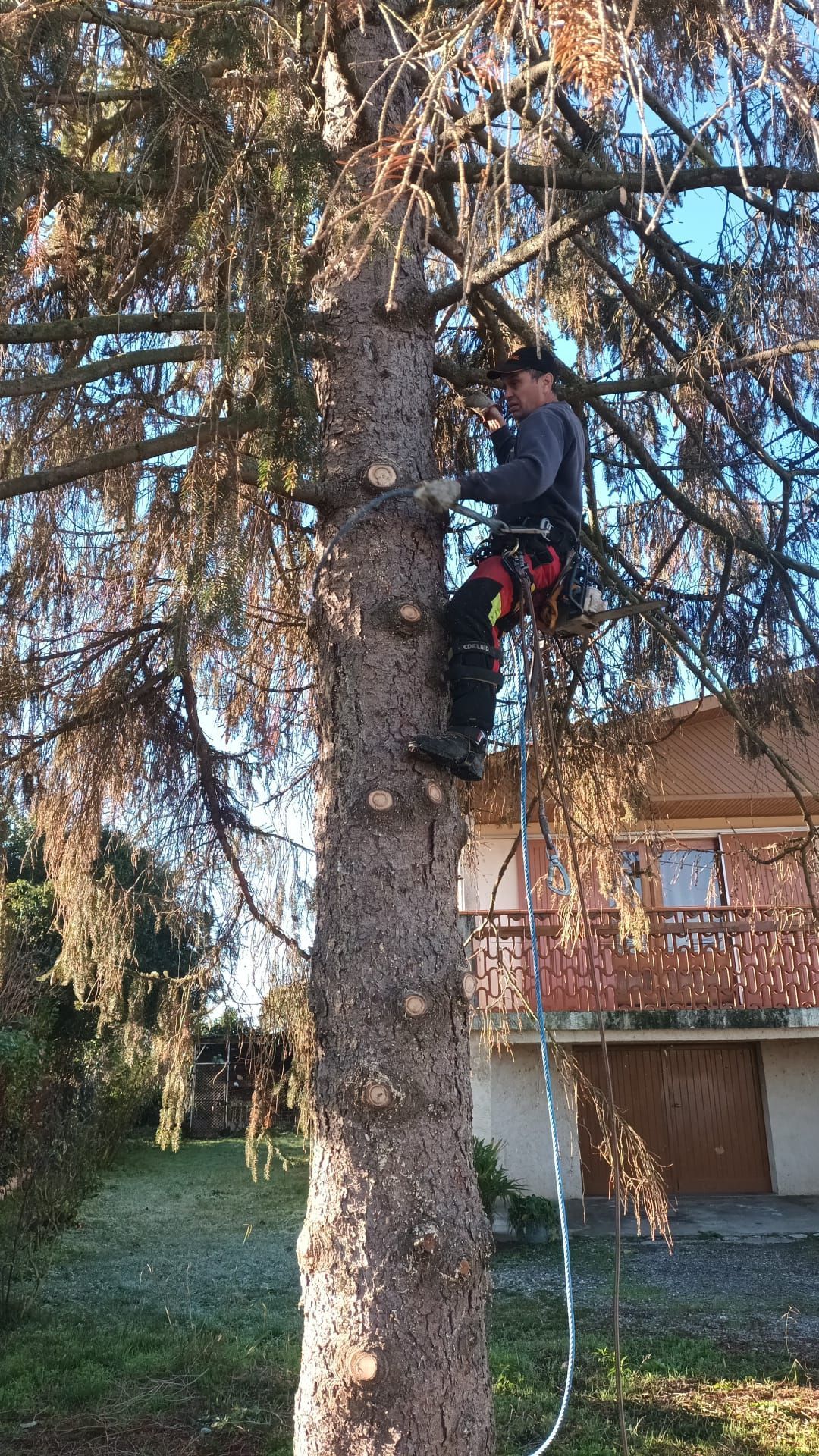 Taille en hauteur avec corde