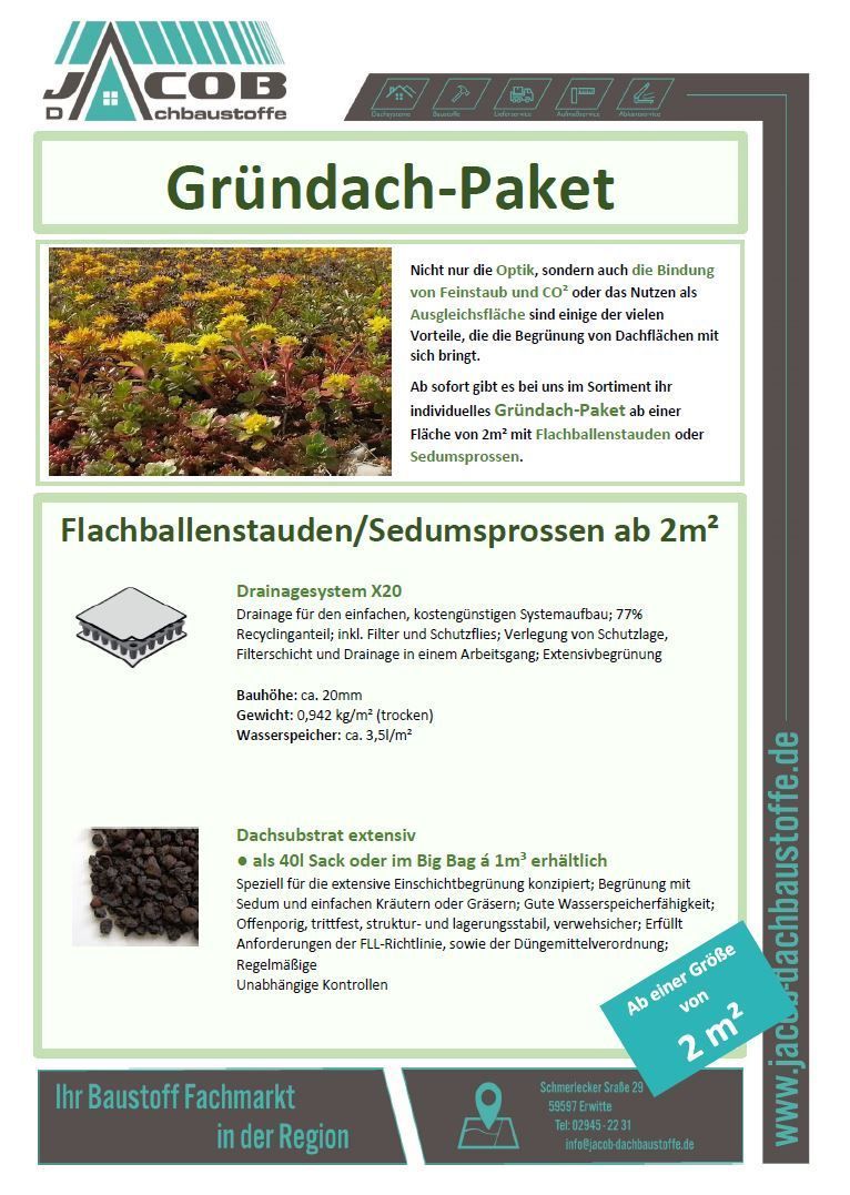 Ein Flyer für ein Gründach mit einer Abbildung eines Gründachs.
