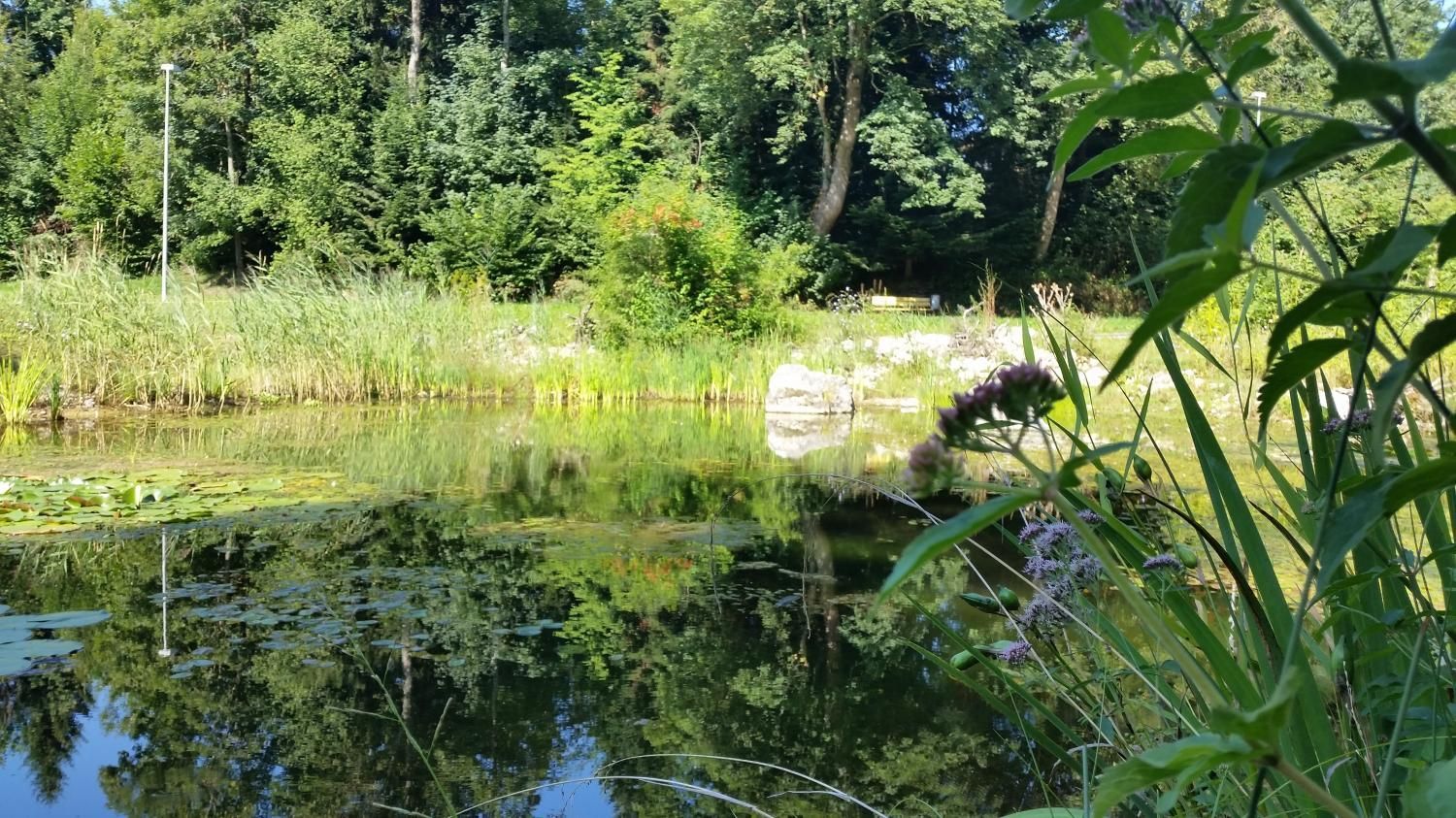 ARA Oberes Kiesental