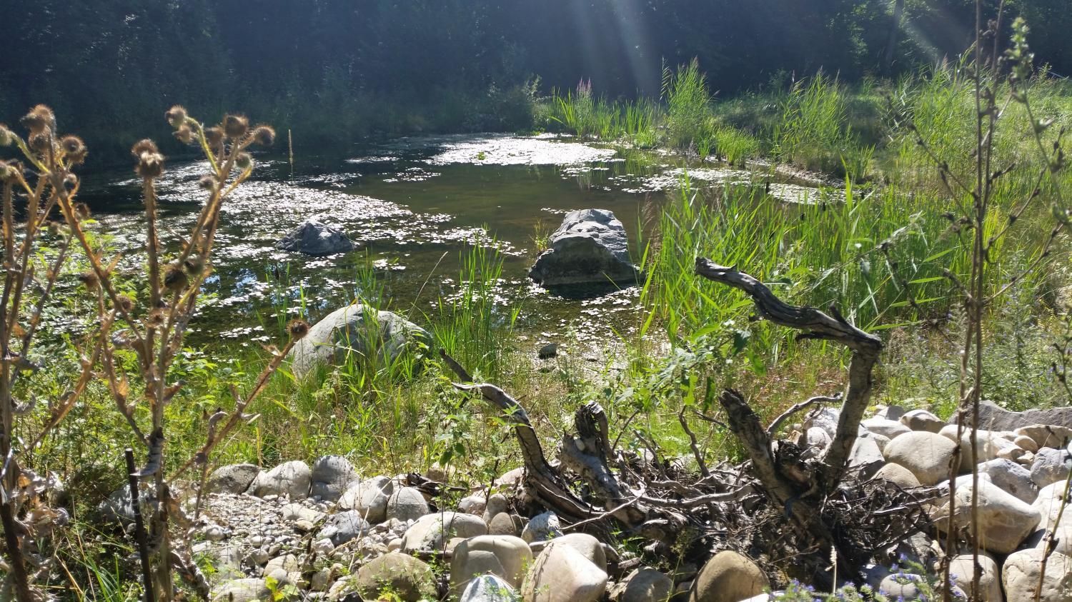 ARA Oberes Kiesental