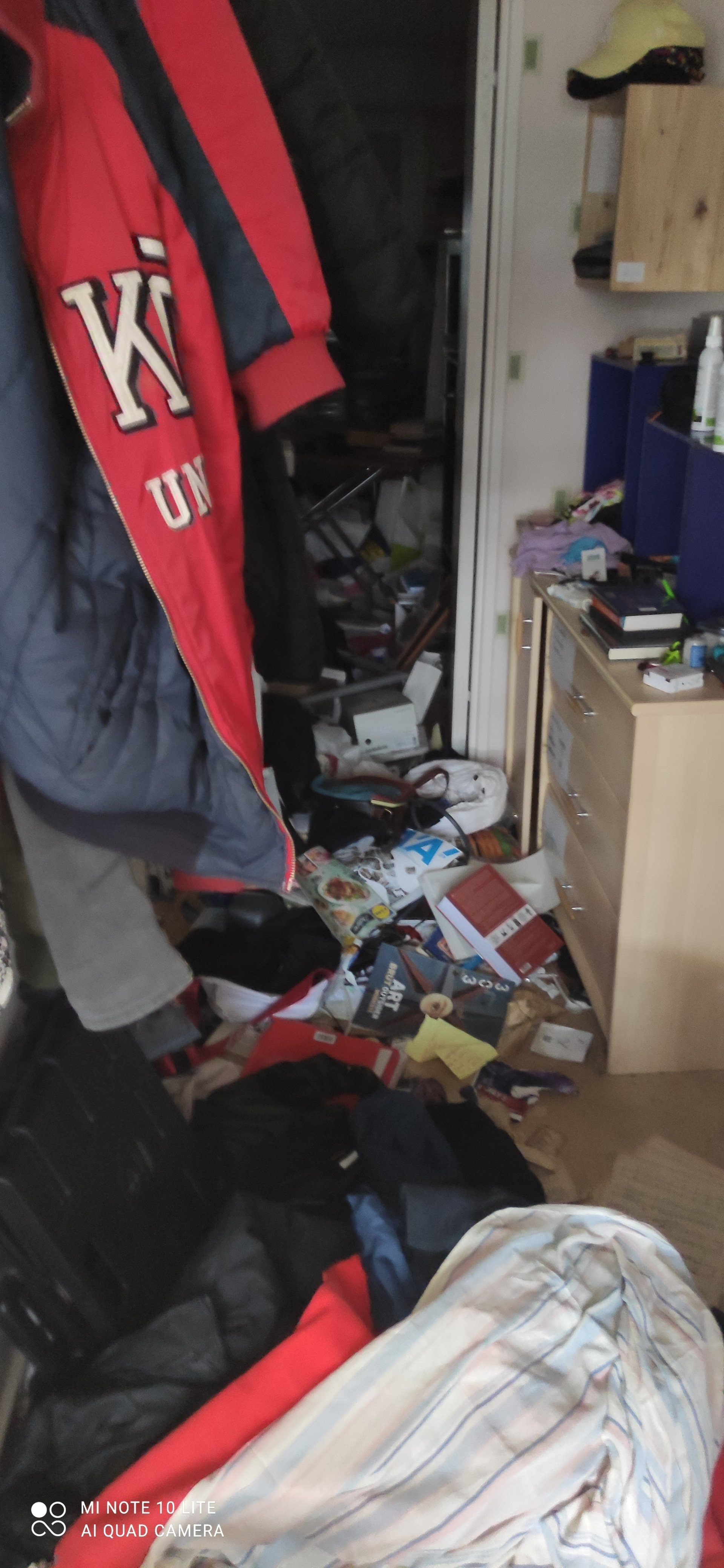 Débarras d'un appartement insalubre avant