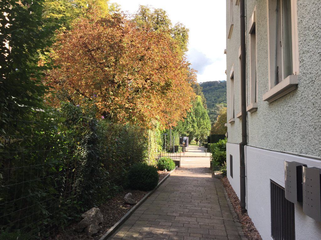 Ein mit Bäumen gesäumter Backsteinweg und ein Gebäude auf der rechten Seite führen zu einer Person in der Ferne.