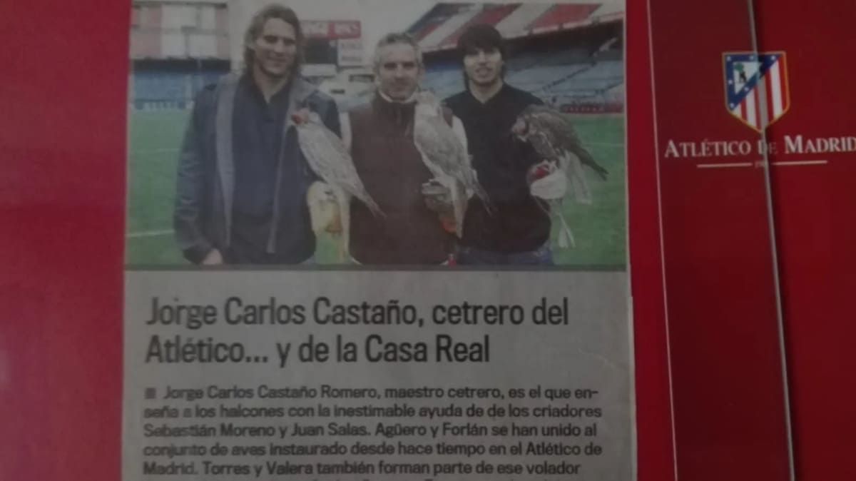 Tres hombres sostienen aves rapaces en un campo de fútbol, ​​junto a un cartel rojo del Atlético de Madrid y un texto sobre un cetrero.