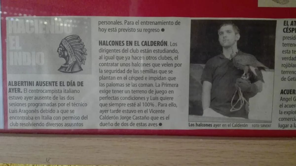 Un extracto de periódico sobre el Atlético de Madrid, en el que aparece un adiestrador de halcones en el estadio Vicente Calderón.