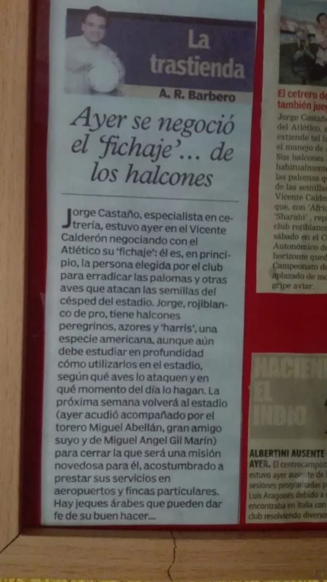 Un recorte de periódico enmarcado titulado 