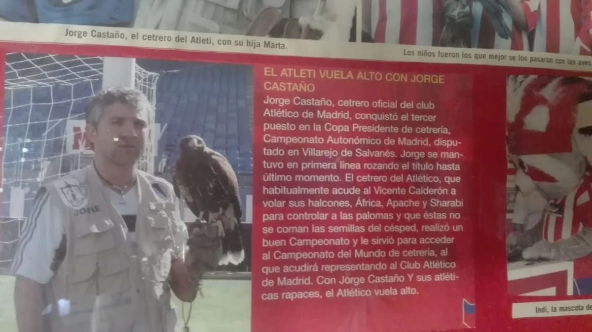 Un hombre con chaleco sostiene un halcón con un texto sobre su trabajo de cetrería para el estadio del Club Atlético de Madrid.