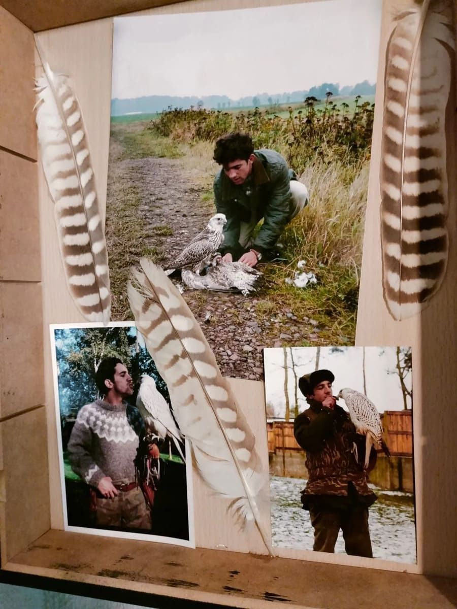 Un tablero que muestra tres fotografías de una persona con una rapaz, enmarcadas por grandes plumas de aves.