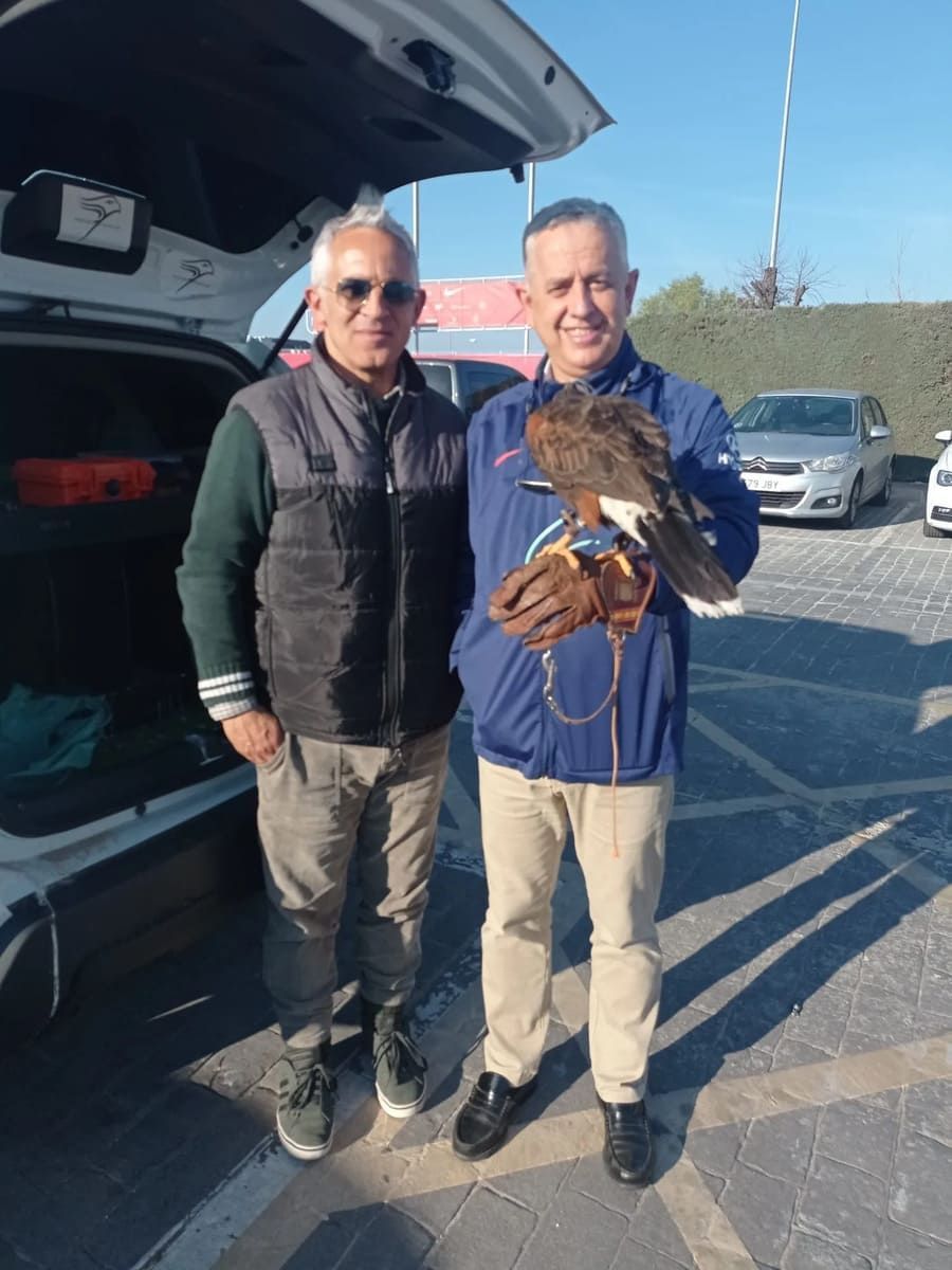 Dos hombres se encuentran al aire libre junto a un automóvil, uno con gafas de sol y un chaleco, el otro sosteniendo un halcón en un guante de cetrería.