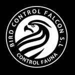 Logo Bird Control Falcon