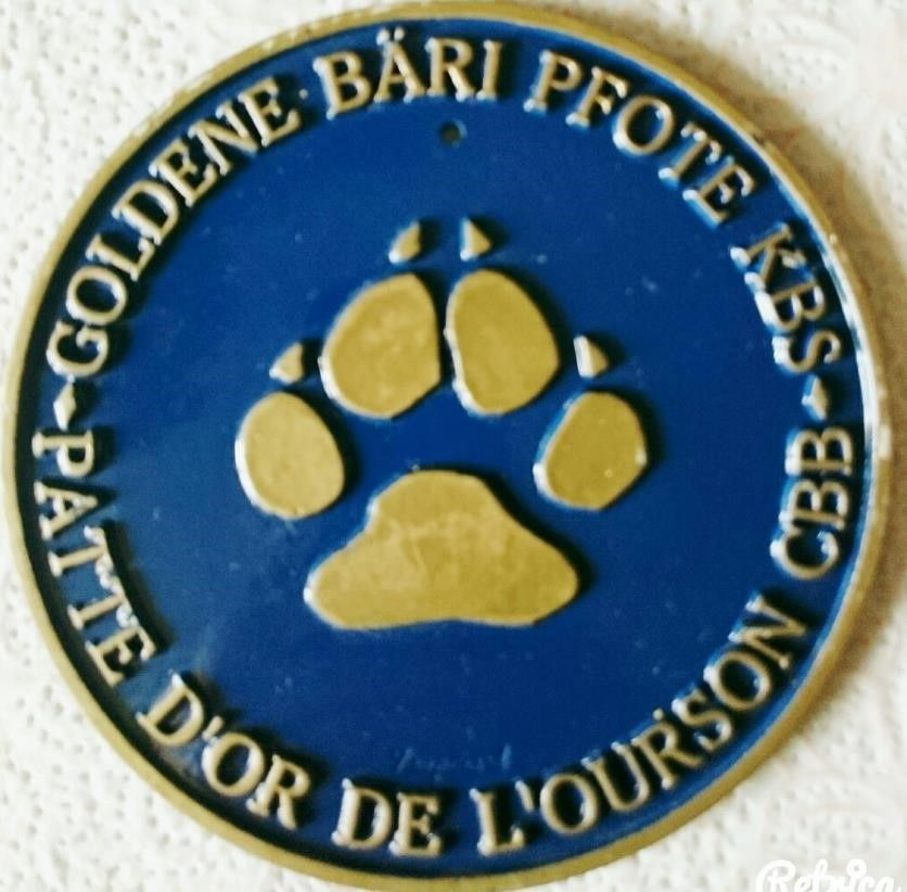 Berner Sennenhunde vom Freibach