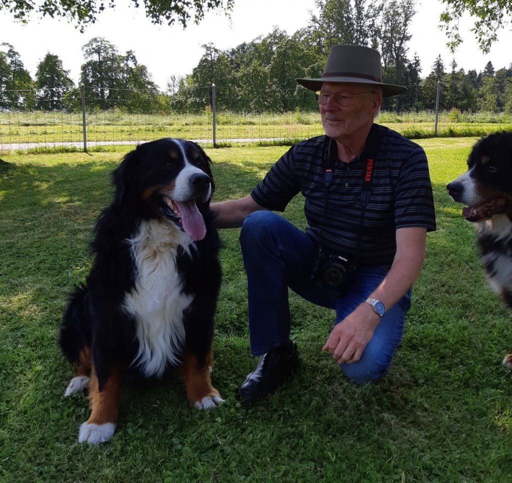 Berner Sennenhunde vom Freibach