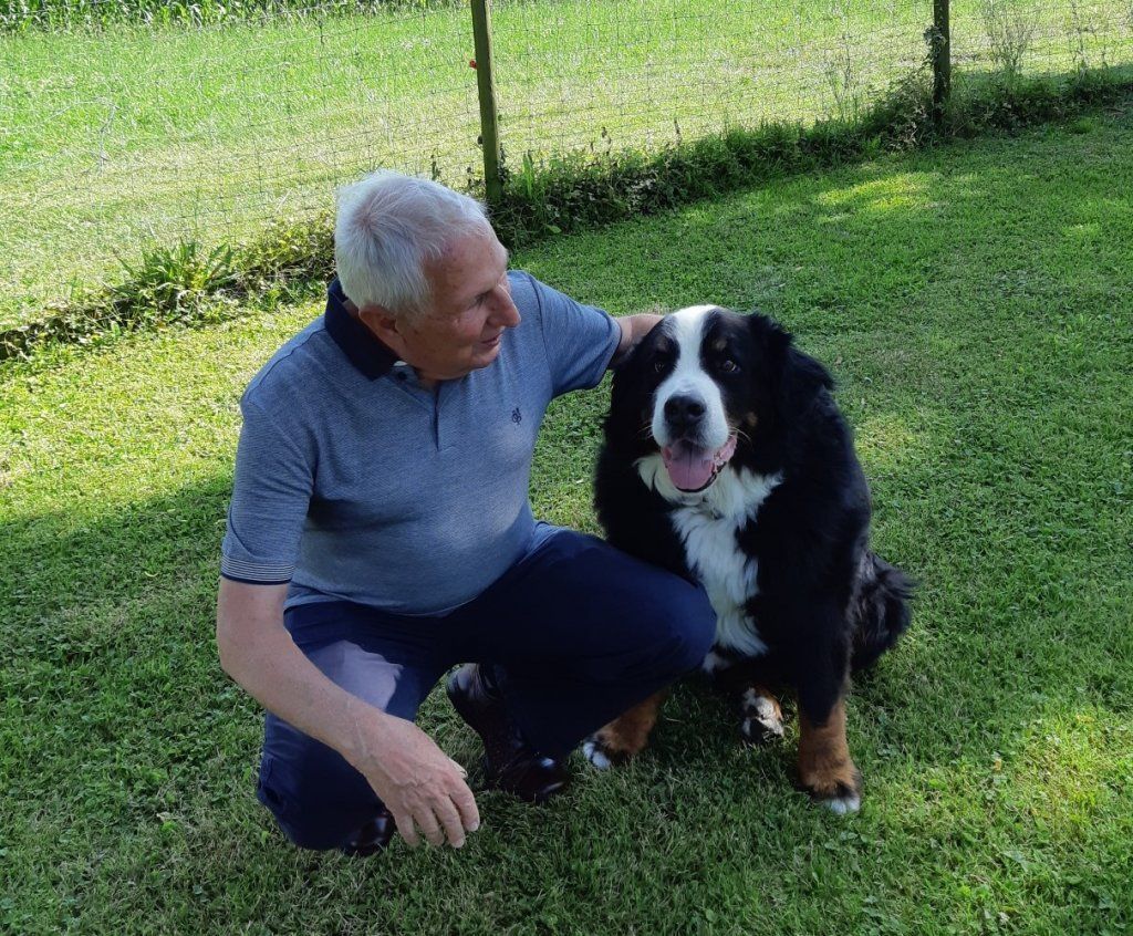 Berner Sennenhunde vom Freibach