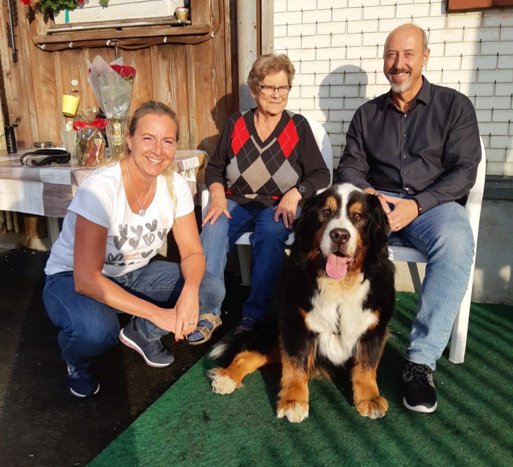 Berner Sennenhunde vom Freibach