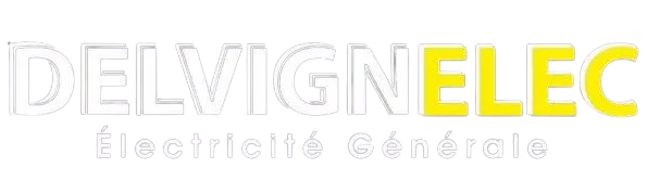 Logo de DELVIGNELEC