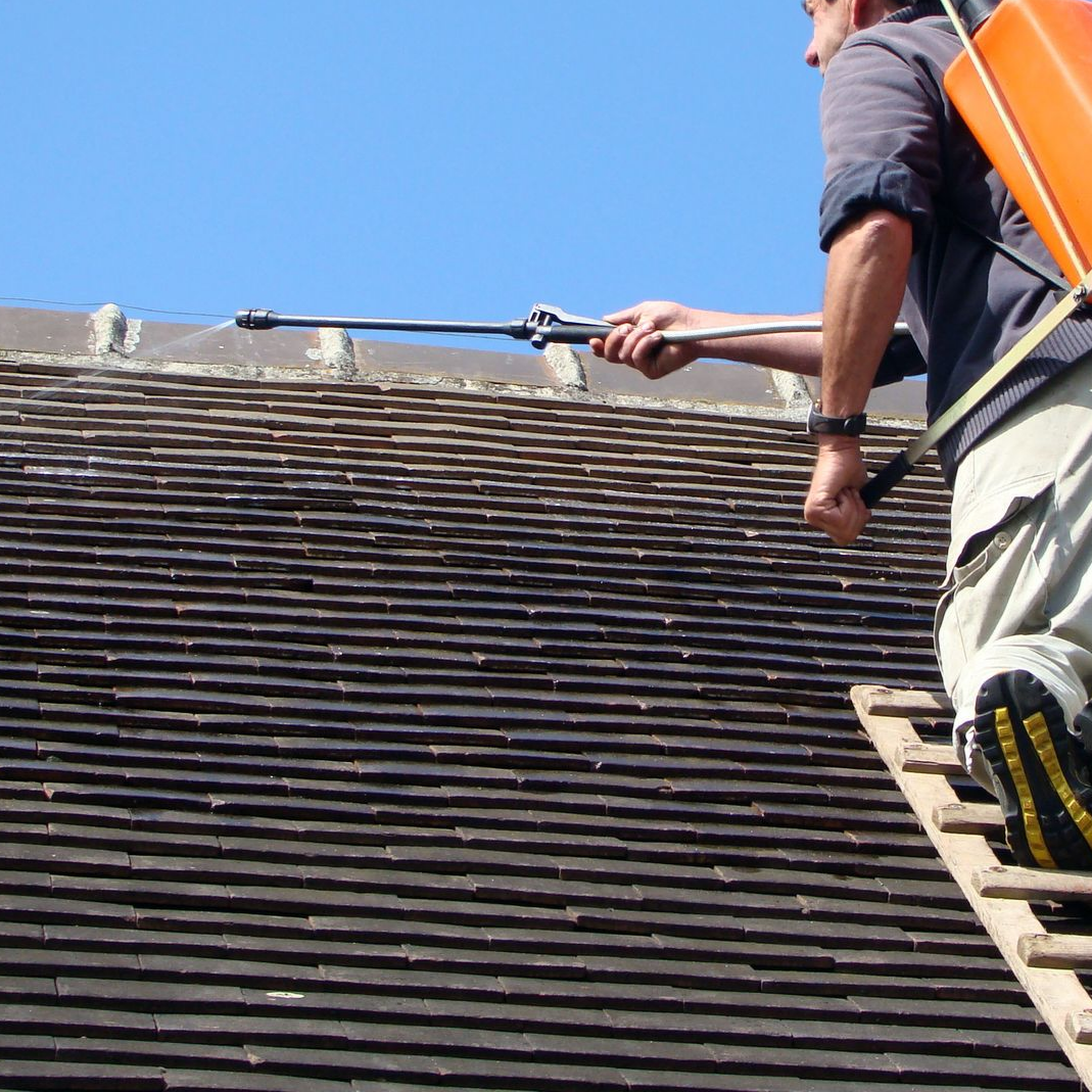 Une personne sur une échelle pulvérise un toit avec un pulvérisateur à dos.