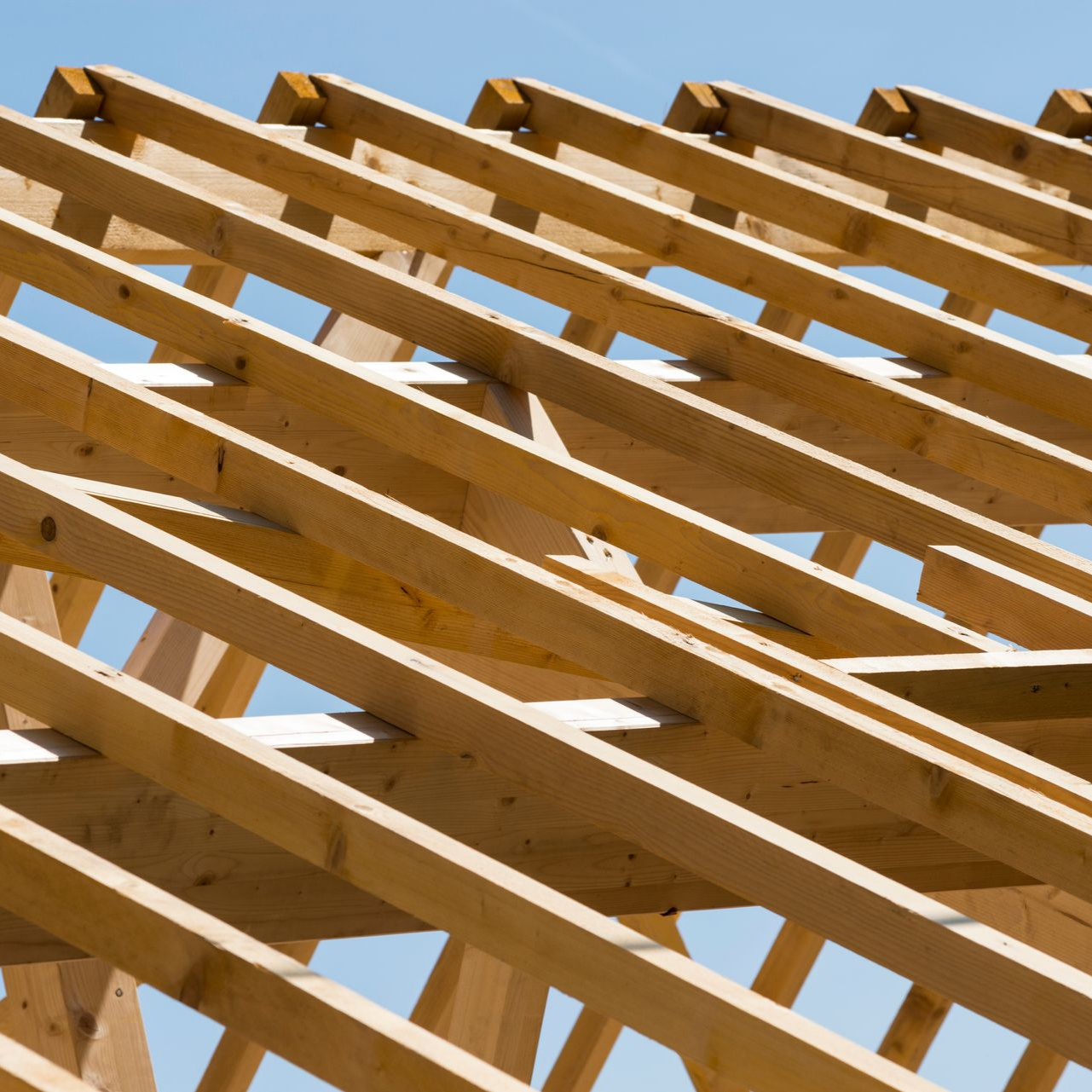 Fermes de toit en bois sous un ciel bleu, montrant la structure de la charpente d'un bâtiment.