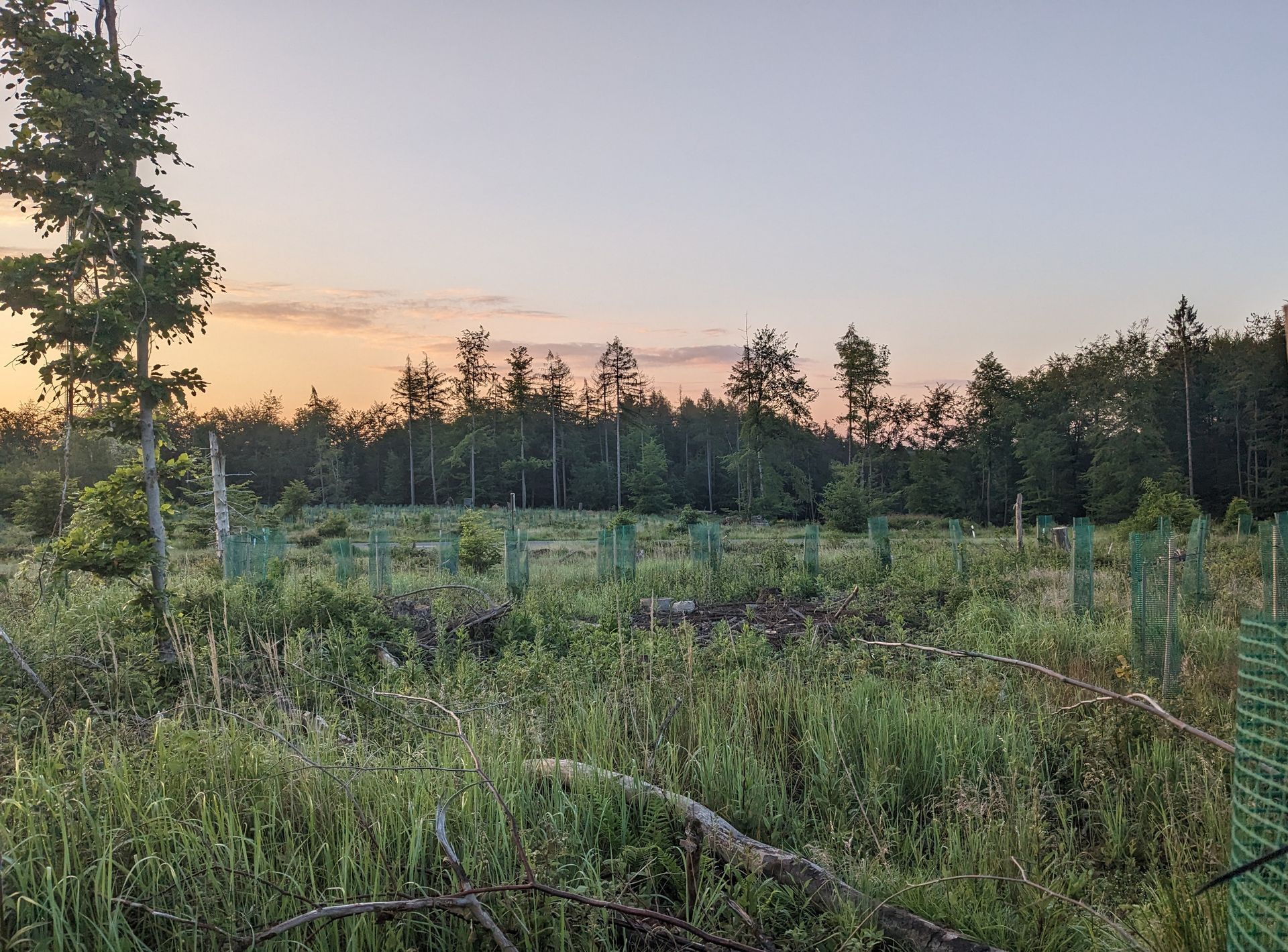 PV-Freiflächenanlage Leubsdorf