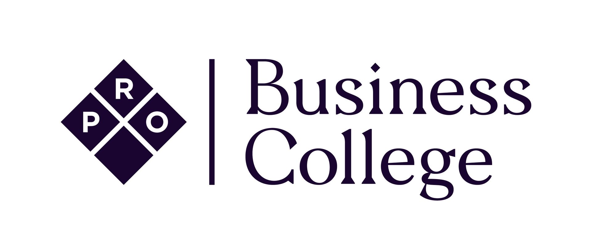Pro Business College