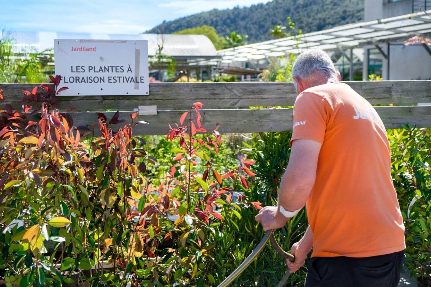 Salarié de Jardiland s'occupant des plantes.