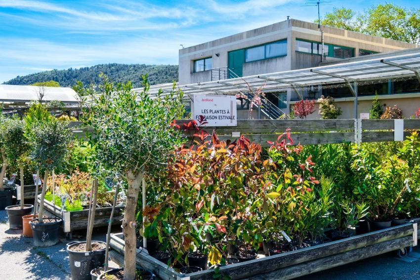 Pépinière extérieure avec des plantes en pot, une serre et un bâtiment en arrière-plan sous un ciel bleu
