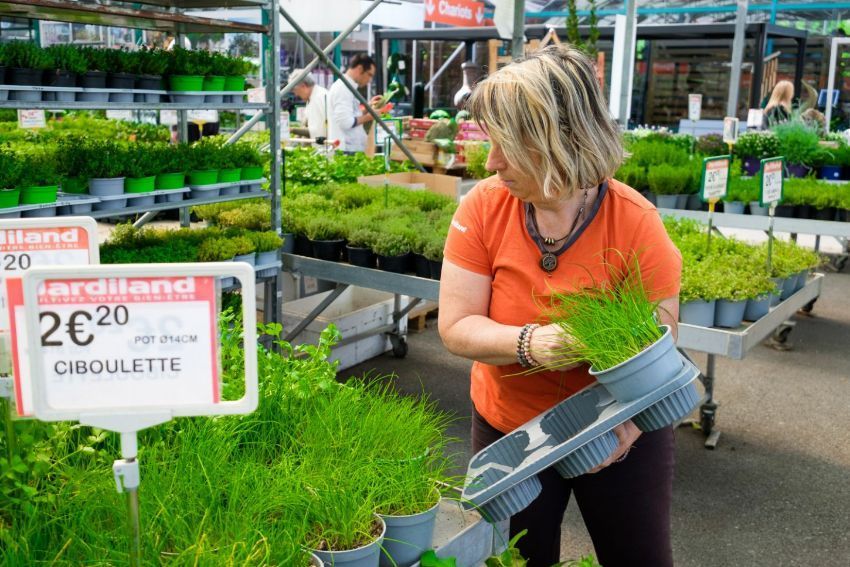 Une femme tient des jeunes plants en pot dans une jardinerie, près de rangées de plantes vertes et d'un panneau de prix.