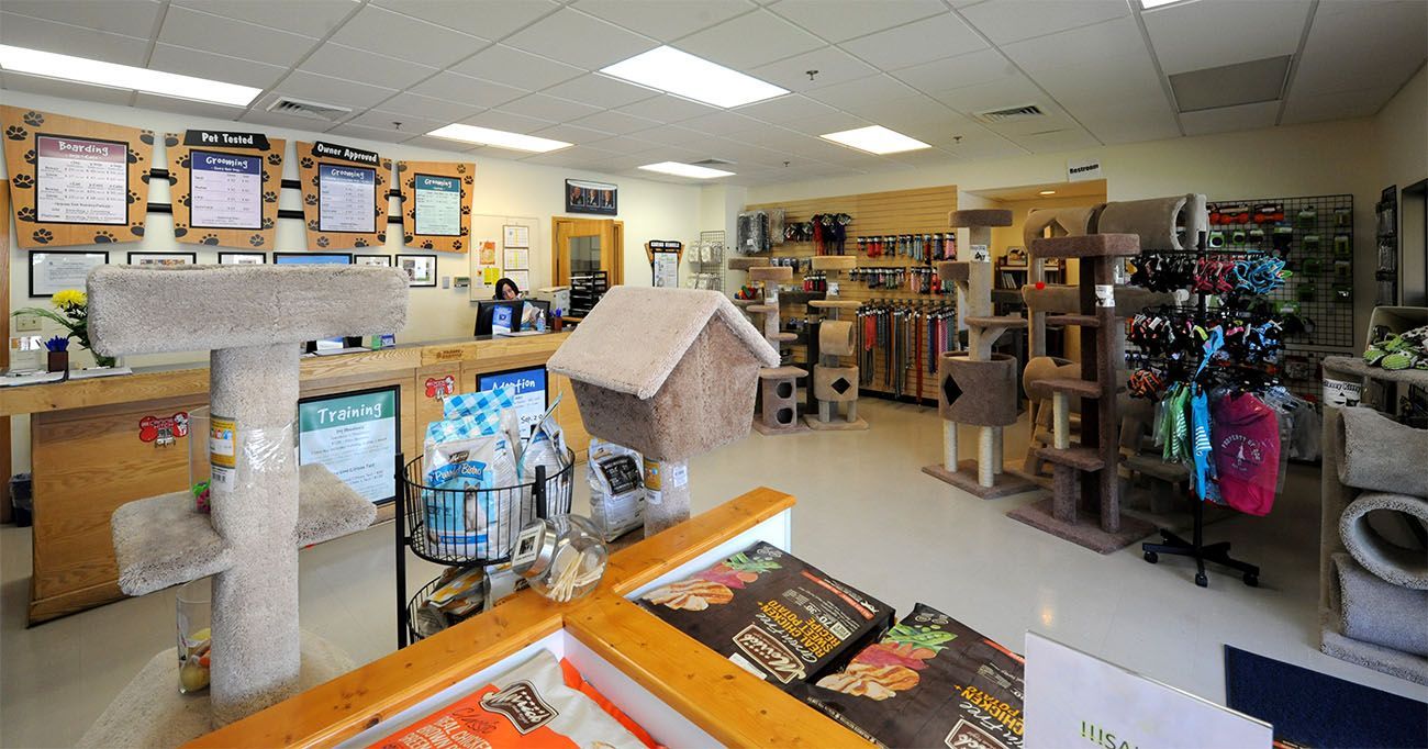 Intérieur d'une animalerie avec des étagères remplies d'articles pour animaux, de jouets et d'accessoires pour aquarium.